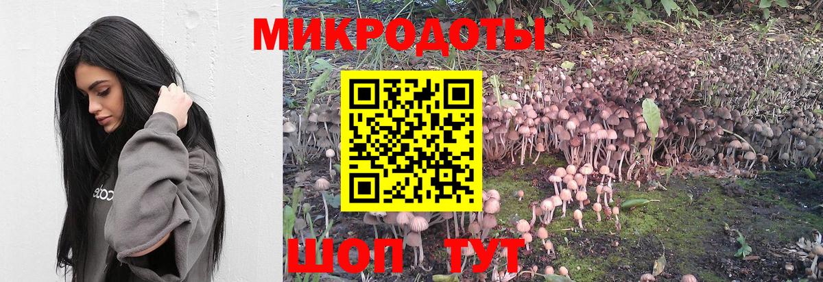 Псилоцибиновые грибы мухоморы  Вход с VPN  Черняховск 